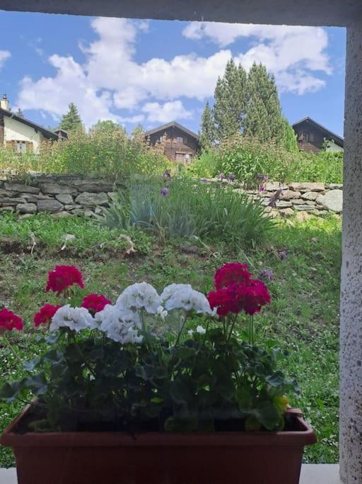 Vacances En Tout Tranquillite A Vercorin Exterior photo